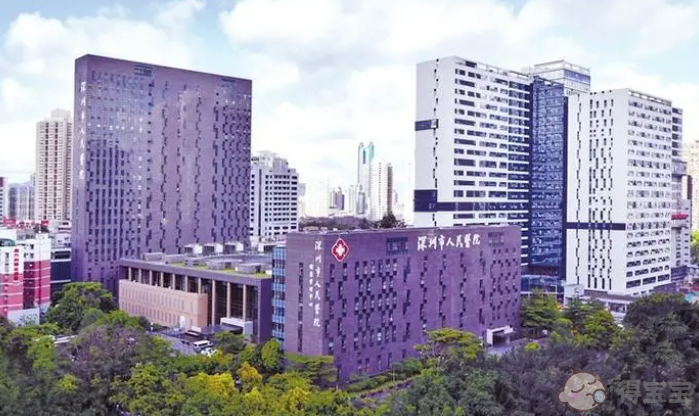 深圳供卵試管助孕包性別費用：深圳市人民醫院捐卵的費用是多少？[附2023年試管嬰兒捐卵費用明細]。